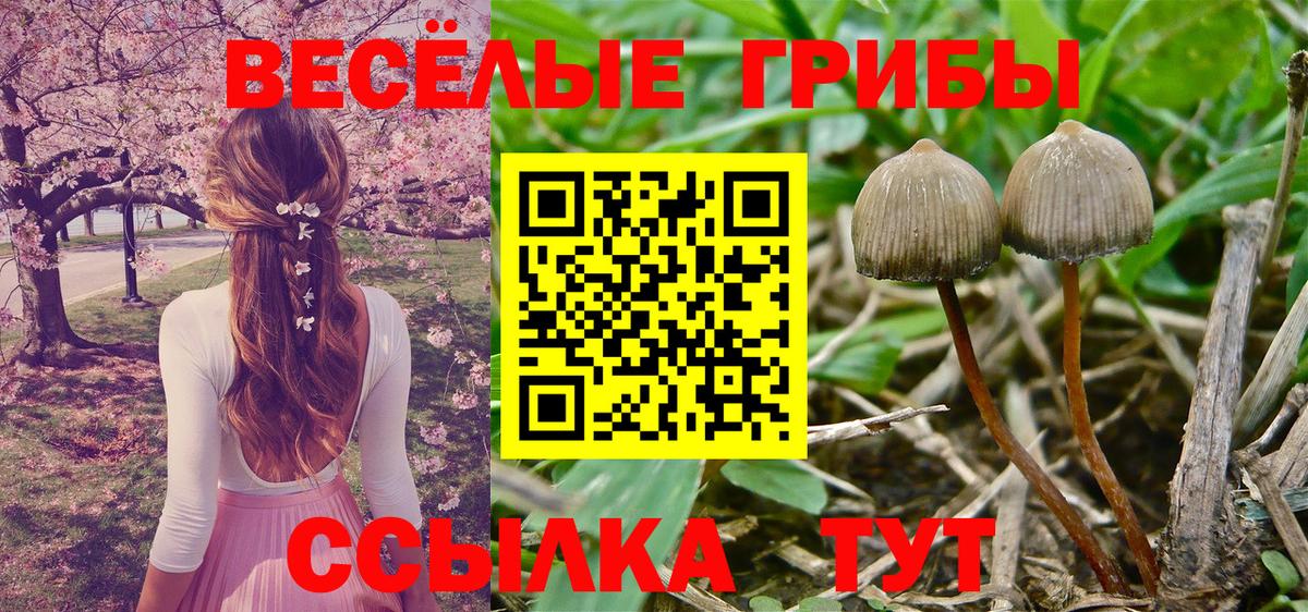 Псилоцибиновые грибы MAGIC MUSHROOMS Луга