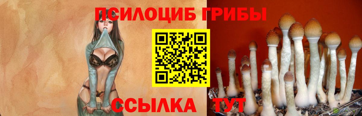 Псилоцибиновые грибы ЛСД  Галлюциногенные грибы прущие грибы  Луга  Вход с VPN 